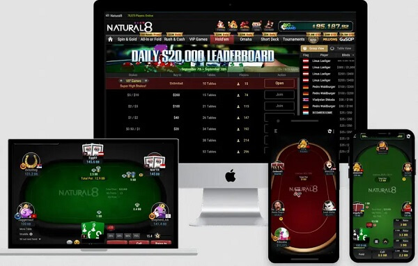 Giới thiệu tổng quan về Natural8 Poker